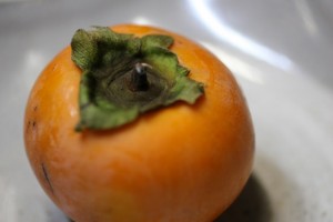 柿の写真１