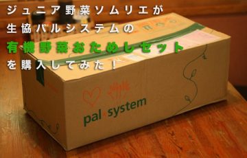 パルシステム・有機野菜おためしセット２８